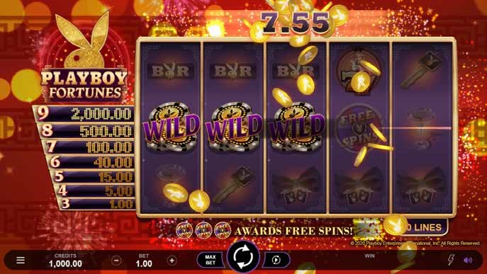 PlayboyFortunes mad Game Image PlayboyFortunes mad Game Image