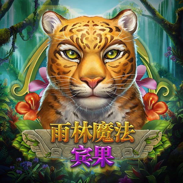 雨林魔法宾果 游戏图片